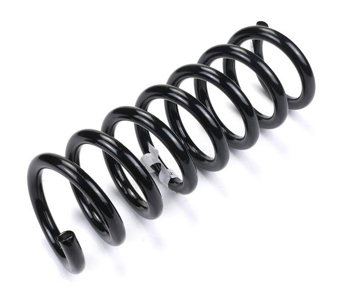 Mercedes Coil Spring - Front 2103211604